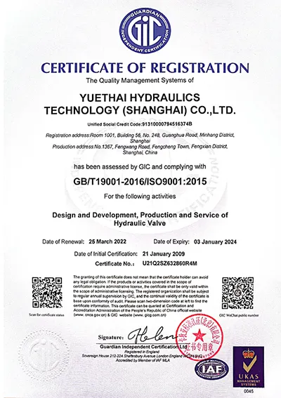 Система менеджмента качества IS09001