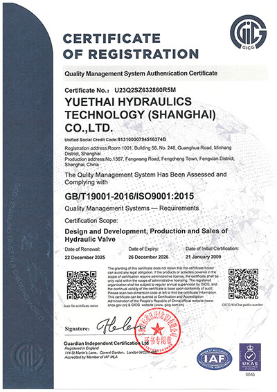 Система менеджмента качества IS09001