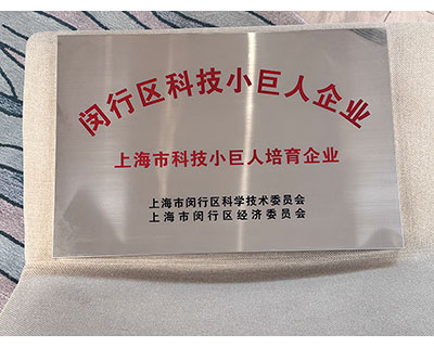 Шанхайское предприятие категории «малый гигант» в сфере науки и технологий