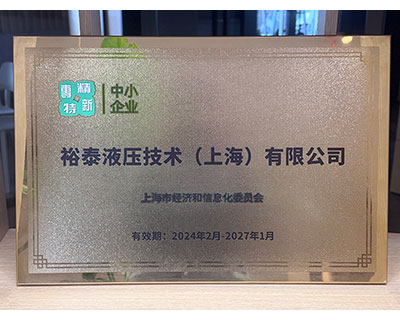 Шанхайское предприятие категории «специализированное, технологически выверенное, отличающееся и инновационное»